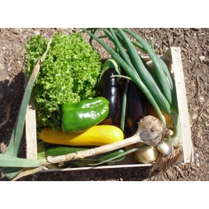 Panier bio légumes moyen mod (6 kg)