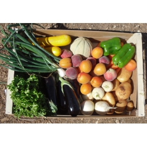 Panier bio légumes/fruits: gd md 9kg