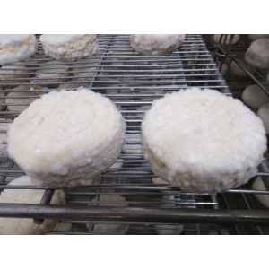 Lot de 3 tommes affinage '2'