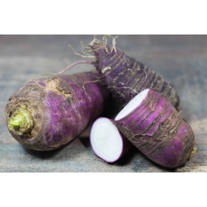 Radis bleu d'automne