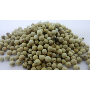 Poivre blanc de muntock