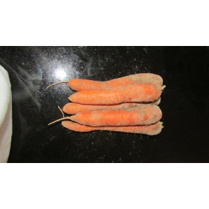 Carottes 1 kg