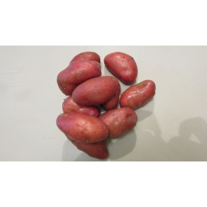 Pomme de terre nouvelle: chérie