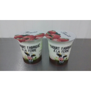 Lot 2 yaourts sur fond de confiture de fraise