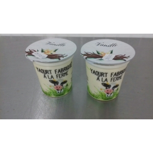 Yaourts vanille, lot de 2 yaourts de 125g