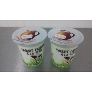 Yaourts 0%, lot de 2 yaourts de 125 g chacun