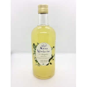 Kombucha menthe - piment d'espelette