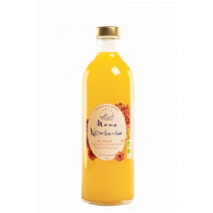 Kombucha curcuma - gingembre - fleur