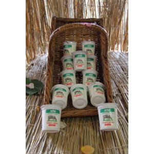 Yaourt fermier entier lot familial (x12)