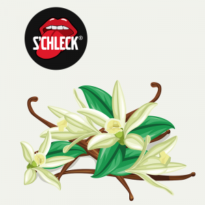 Glace artisanale vanille s'chleck