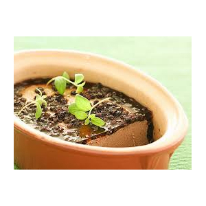 Pâté de foie de volailles
