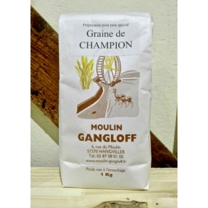 Préparation pour pain graine de champion