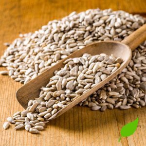 Graines de tournesol françaises bio