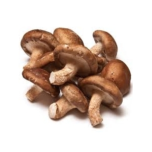 Shiitake