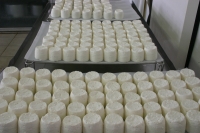 Bûchette nature frais