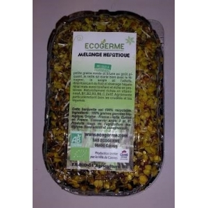 Graines germées melange detox (fenouil,radis, fenugrec, trefle ou alfalfa