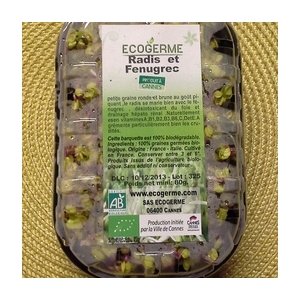 Graines germées fenugrec et radis