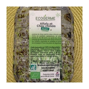 Graines germées d'alfalfa et chou chinois