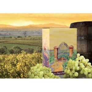 Vin de france rouge -