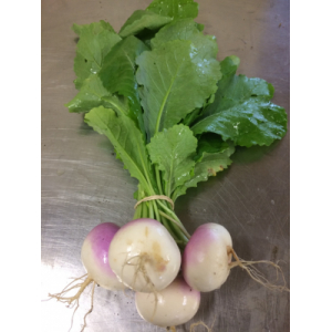 Navet variété declic