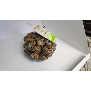 Escargots vifs jeunés