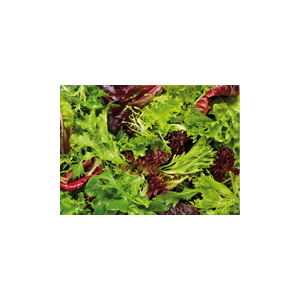 Salade mesclun