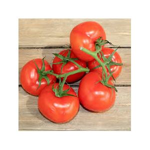 Plants de tomates grappe x 6