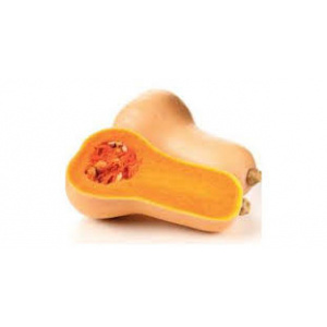 Plant de courge  butternut    : vari
