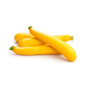 Plant de courgette jaune x 1 variét