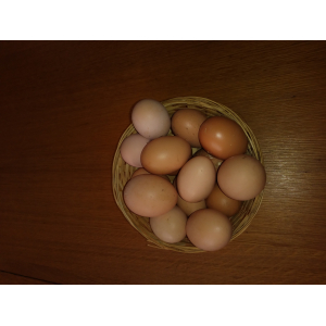 œufs frais