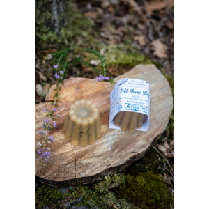 Shampooing solide ayurvedique ylang