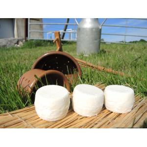 Crottin  de chevre bio demi sec