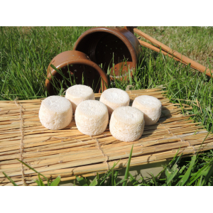 Crottin de chevre bio sec