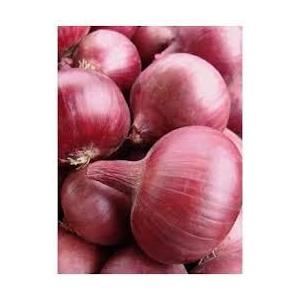 Oignon rouge