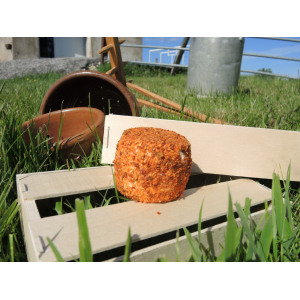 Fromage de chevre bio aux epices mexicaines bio