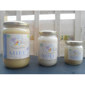 Miel toutes fleurs de l'espérance