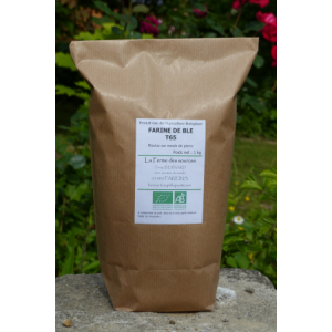 Farine de blé t65