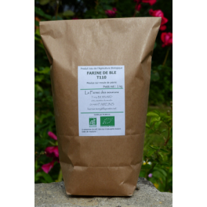 Farine de blé t110