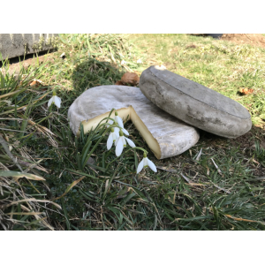 Saint-nectaire fermier 1/2