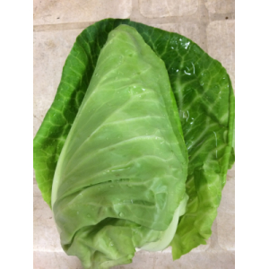 Chou variété coeur de boeuf sonsma