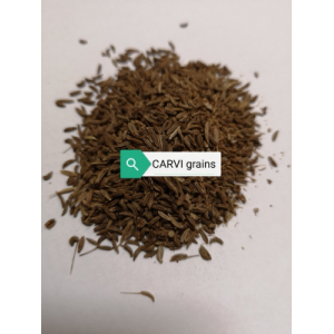 Carvi grains