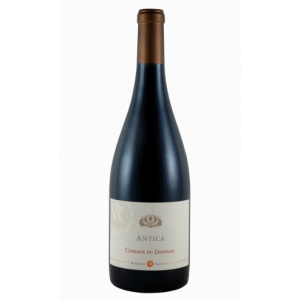 Antica gamay