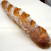 Baguette bio khorasane