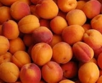 Abricot en 500g