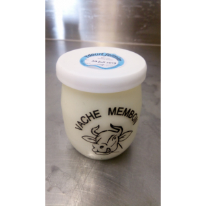 Yaourt au lait entier - nature