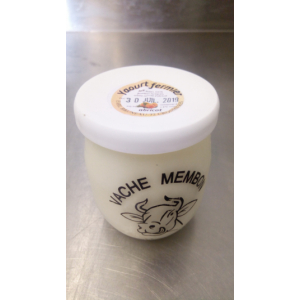 Yaourt au lait entier - abricots