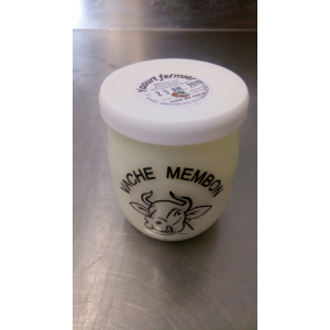 Yaourt au lait écrémé - noix de c