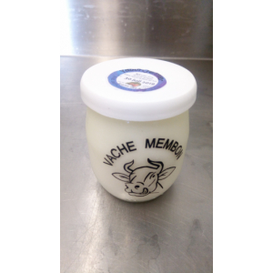 Yaourt au lait entier - fraises des bois