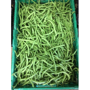 Haricots verts