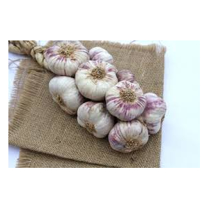 Ail violet du gers  tresse 500gr